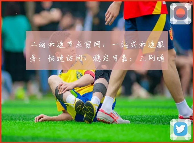 二狗加速节点官网，一站式加速服务，快速访问，稳定可靠，三网通，免费试用，惊喜不断，体验无限