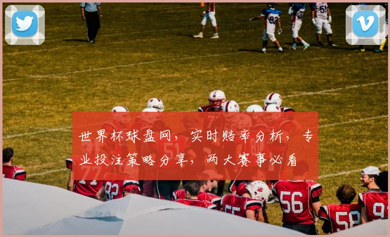 世界杯球盘网，实时赔率分析，专业投注策略分享，两大赛事必看