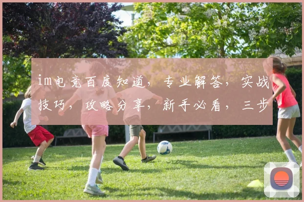 im电竞百度知道，专业解答，实战技巧，攻略分享，新手必看，三步入门