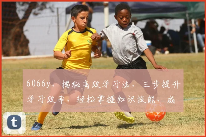 6066y，揭秘高效学习法，三步提升学习效率，轻松掌握知识技能，成就卓越人生