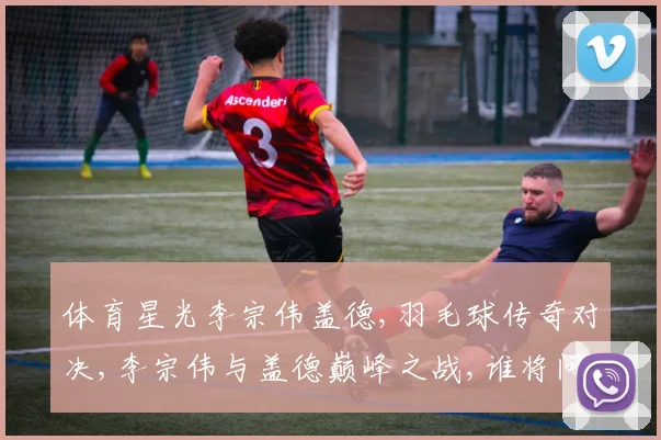 体育星光李宗伟盖德,羽毛球传奇对决,李宗伟与盖德巅峰之战,谁将问鼎