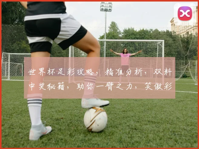 世界杯足彩攻略，精准分析，双料中奖秘籍，助你一臂之力，笑傲彩市
